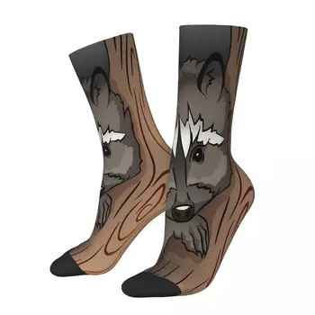 Милые носки с изображением животных енота, мужские и женские зимние чулки Harajuku Изображение 0